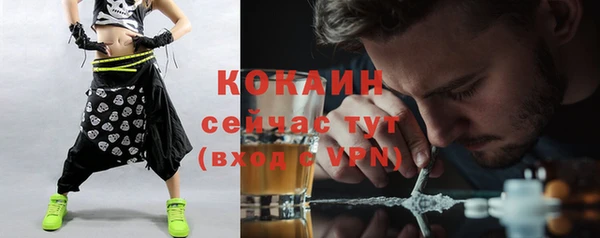 мяу мяу мука Пересвет