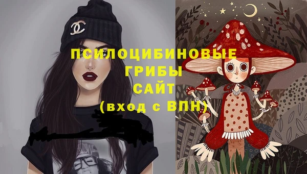 крисы Переславль-Залесский