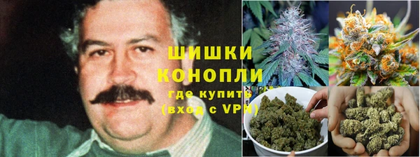 ECSTASY Пестово