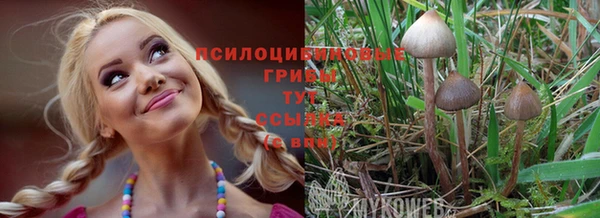 крисы Переславль-Залесский