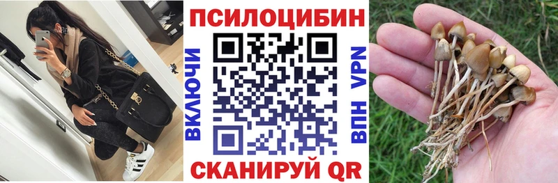Галлюциногенные грибы MAGIC MUSHROOMS  купить закладку  Владимир 